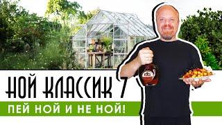 Армянский коньяк Ной Классик 7 лет. Дешевый, вкусный коньяк, который не подорожал. Пей Ной и не ной!