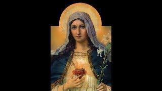 Immaculate Heart of Mary