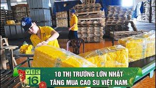 10 Thị trường lớn nhất tăng mua cao su Việt Nam | VTC16