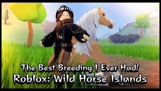 [Roblox Wild Horse Islands] Breeding 10 Foals With The New Friesians! Best Breeding I Ever Had!