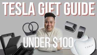 Best Tesla Model 3/Y Gift Guide (UNDER $100)