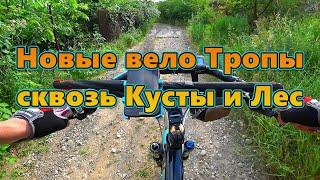 Новые места лесные тропки Вело покатушка