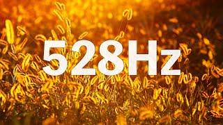  Resonance Liver & Kidney 528Hz Solar Plexus Chakra  Tibetan Singing Bowl Sound  EP498