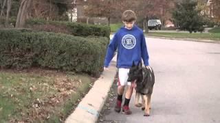 Global K9 Protection: Merrill Family and Aron