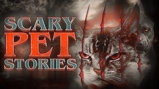 7 True Scary Pet Horror Stories