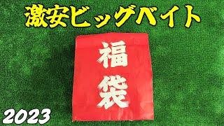 某釣具屋の抱き合わせ的タイニークラッシュ入りDRT福袋をガン無視して俺なりの激安ビッグベイト福袋買ってきた2023【バス釣り/シーバス】