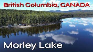 NORTH to Alaska! FREE CAMPING at Morley Lake Recreation Site! BEAUTIFUL