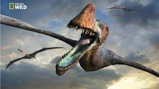 National Geographic - Flying Sky Monsters Pterosaur - New Documentary HD 2018