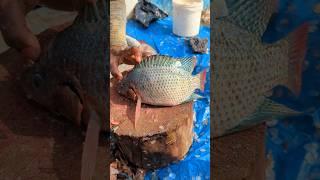 Popular Talapia Fish Cutting Skills by Expert Fish Cutter  || #shorts #fishcuttingexpert