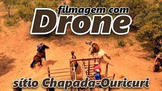 Vídeo do DRONE na PEGA DE BOI do SÍTIO CHAPADA, Ouricuri-PE