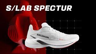 S/LAB SPECTUR | Salomon Running