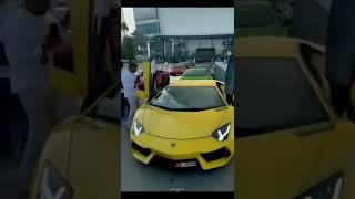 SuperCars collection Shorts by Amazing Cars 4U