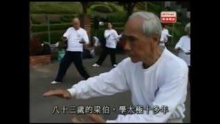 鏗鏘集 - 養生之道系例(一)(2004)