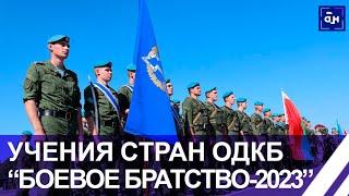 На Брестском полигоне завершился второй этап учений "Боевое братство — 2023". Панорама