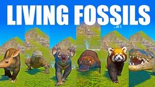 Living Fossils Category Speed Race in Planet Zoo included Crocodile, Panda,  Platypus  Koala  Dragon