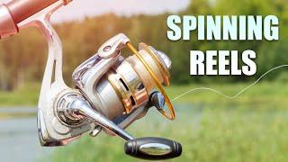 The Best Spinning Reels You've Been Waiting For | Best Spinning Reels 2022