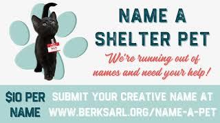 Name a Shelter Pet at the ARL