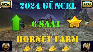 #knightonline  2024 GÜNCEL 6 SAAT HORNET FARM