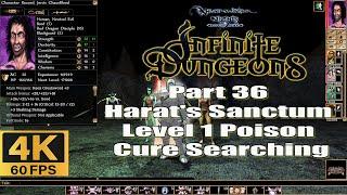 Neverwinter Nights Enhanced Edition Infinite Dungeons Part 36 Harat's Sanctum Level 1