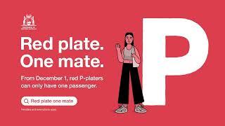 Red plate. One mate.