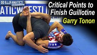 Guillotine - Critical Points to Finish by Garry Tonon