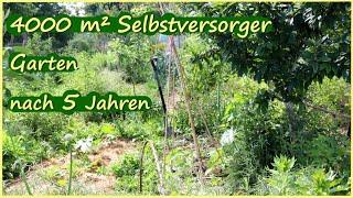 Riesen Gartenrundgang im Selbstversorgergarten Permakultur