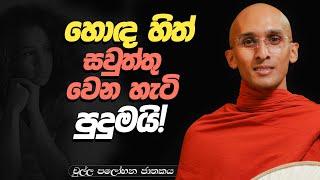 279. හොඳ හිත් සවුත්තු වෙන හැටි පුදුමයි! | චුල්ල පලෝභන ජාතකය | 2024-03-04