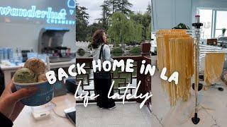 let’s catch up!  the future of my channel, life lately in LA, Huntington Library | life in LA vlog