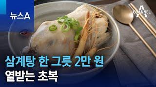 삼계탕 한 그릇에 2만 원…열받는 초복 | 뉴스A