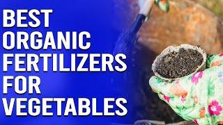 Best Organic Fertilizers For Vegetables - Your Comprehensive Guide (Our Preferred Selections)