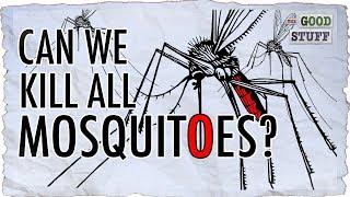 Should We Make Mosquitoes Extinct?