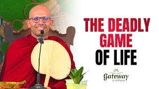 The Deadly Game of Life