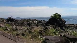 日本の遊歩百選 溶岩なぎさ遊歩道 サイクリング