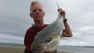 NZ Basic Fishing | Surfcasting | Kingfish off the beach