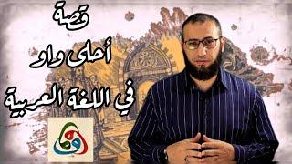 الخليفة المأمون وأحلى واو في اللغة العربية!! |أحمد عبد المقصود