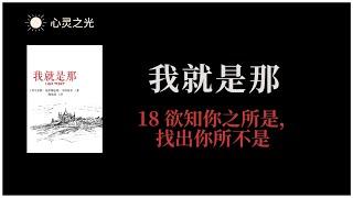 18、欲知你之所是，找出你所不是