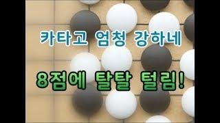 까꿍프로를 8점에 개털어 버리는 접바둑 인공지능(AI) 카타고