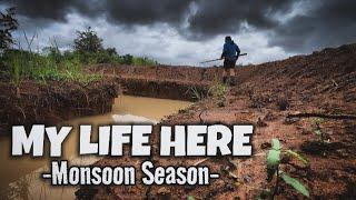 life as a BRITISH man on a FARM in THAILAND… 