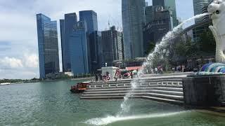 SINGAPORE Travel Guide | What To Do, Where To Go | 3 Day Layover | 2019 | Barbster360 Travel Video,n