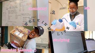 Week in My Life *Midterm Edition* | The American University in Cairo (AUC)