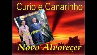 Novo alvorecer - Curió e Canarinho