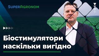 Біостимулятори – яка ефективність їх застосування?/ СуперАгроном