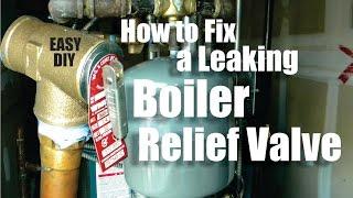 How to Repair a Leaking Boiler Relief Valve Easy DIY