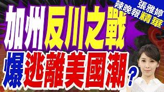 加州帶頭 藍州醞釀反川之戰?美國移居海外搜尋量暴增2000%! | 加州反川之戰 爆逃離美國潮?【張雅婷辣晚報】精華版@中天新聞CtiNews