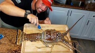 What's Inside this MASSIVE SPINY LOBSTER?! *Catch Clean & Cook Florida Mini Season*