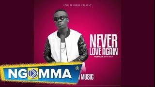 Valon Music - Never love again ( Official audio )