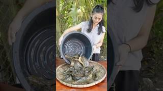 Amazing Cooking Fishes by Countryside Chef