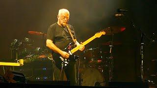 David Gilmour - Vita Brevis - Between Two Points Live ROMA Circo Massimo, 27 Settembre 2024