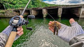 Catching GIANT Deep Summer Bass During Jon Boat Tournament