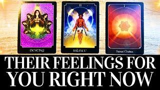 PICK A CARD Their FEELINGS For You RIGHT NOW!  They want you to know THIS!  Love Tarot Reading